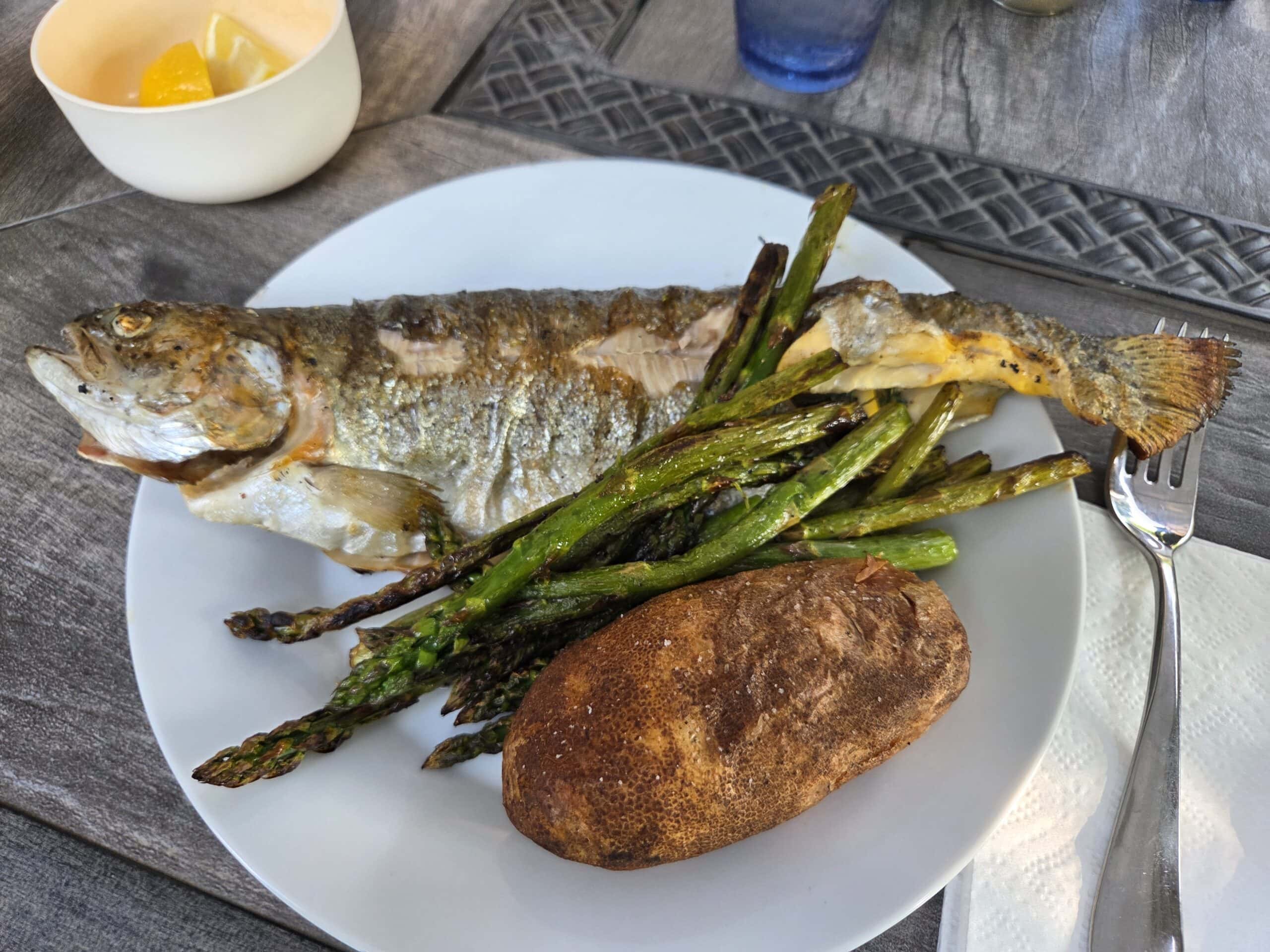 grilled rainbow trout